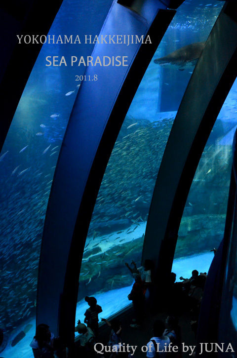 横浜八景島　～水族館編～