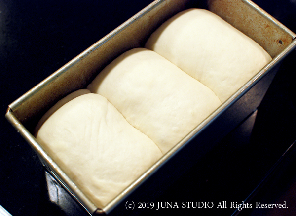 hoshino-puru05195