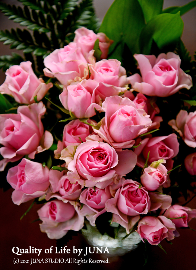 rose06211