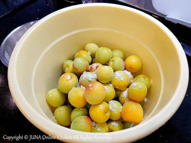 umeboshi0624g