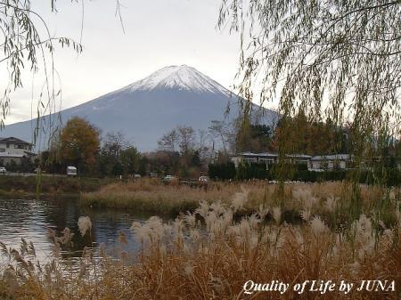 Fuji.jpg