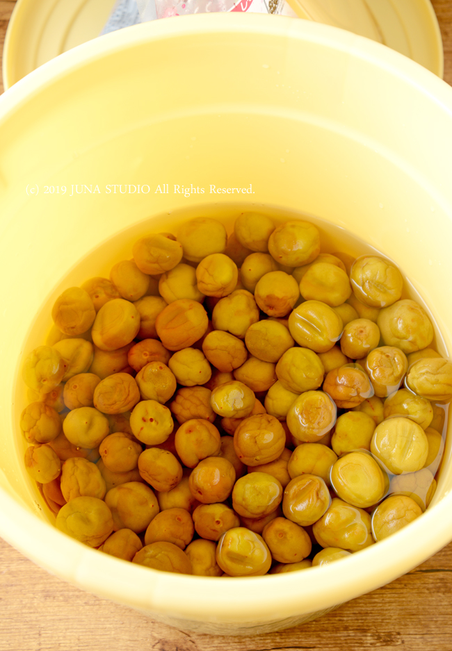 umeboshi07193