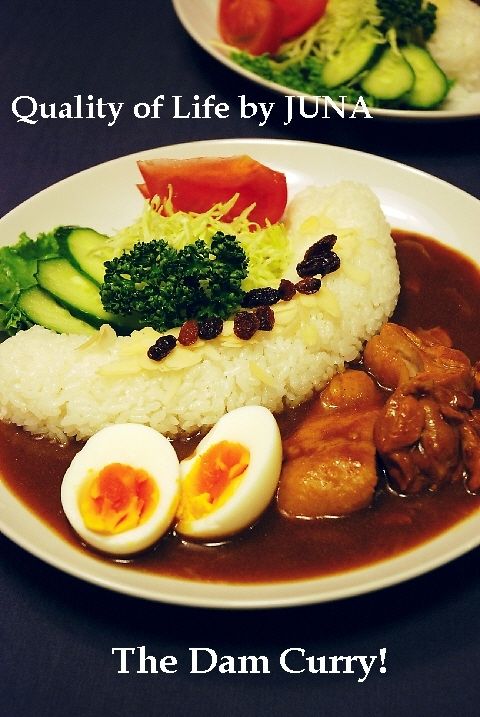 damcurry1.jpg