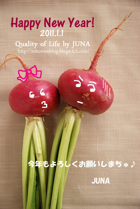 2011　新年のご挨拶