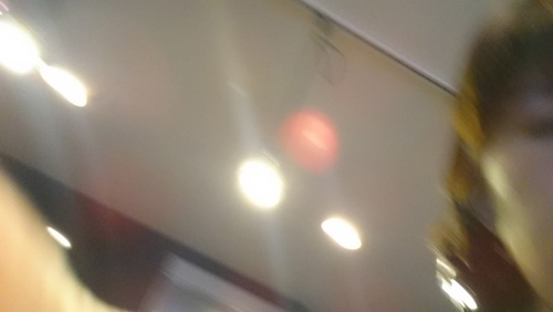 marugoto1