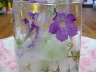 氷柱花 今日のcoffeebreak