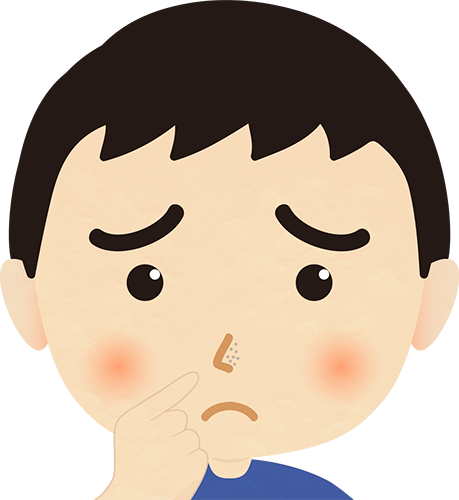 顔のパーツで一番目立つ 鼻 をきれいに 毎日のオススメしたい日記 顔のパーツで一番目立つ 鼻 をきれいに 毎日のオススメしたい日記