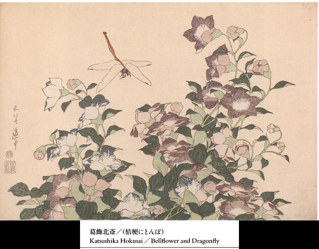 愚意鑿」BINBOUコレクションⅡ「図録」147 31巻「ボストン美術館