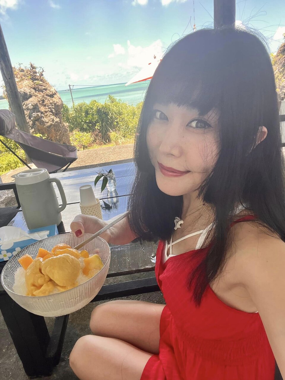 とまこドローン宮古島マンゴー