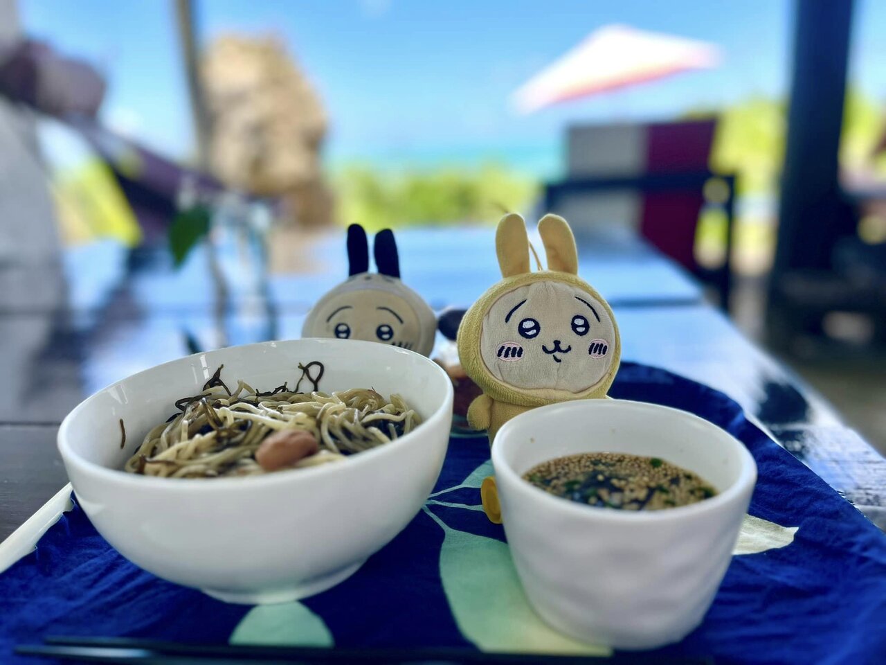 とまこドローンもずくそば