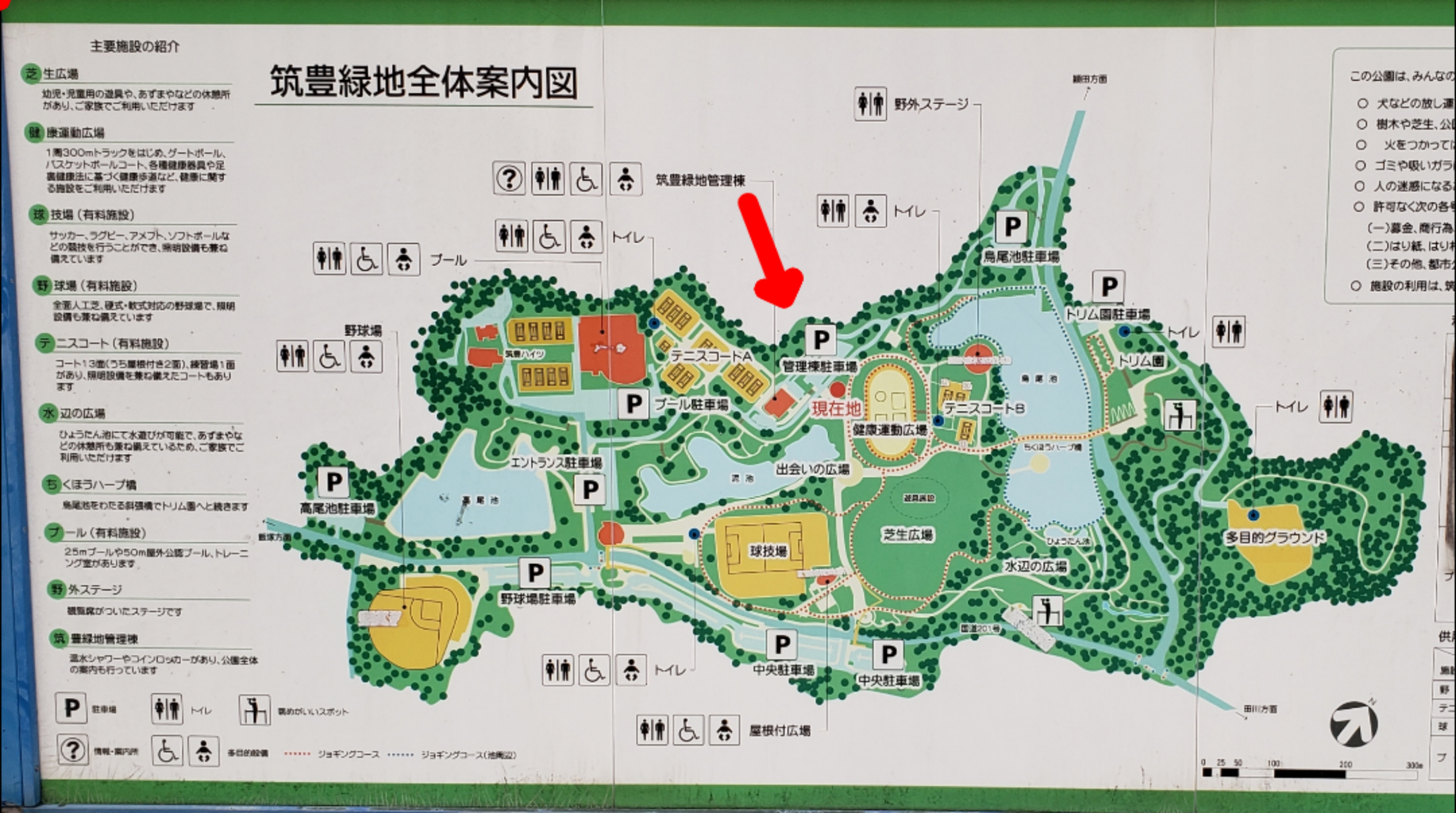 飯塚市 筑豊緑地 行橋市近郊の公園 教えたがりおじさん 飯塚市 筑豊緑地 行橋市近郊の公園 教えたがりおじさん