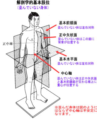なぜ強い人はインパクトが出る を姿勢の観点で考えてみた ペン粒が古武術卓球を独学してみたが 布袋卓球アカデミーに入会したので 独学じゃなくなった なぜ強い人はインパクトが出る を姿勢の観点で考えてみた ペン粒が古武術卓球を独学してみたが 布袋卓球アカデミーに入会したので 独学じゃなくなった