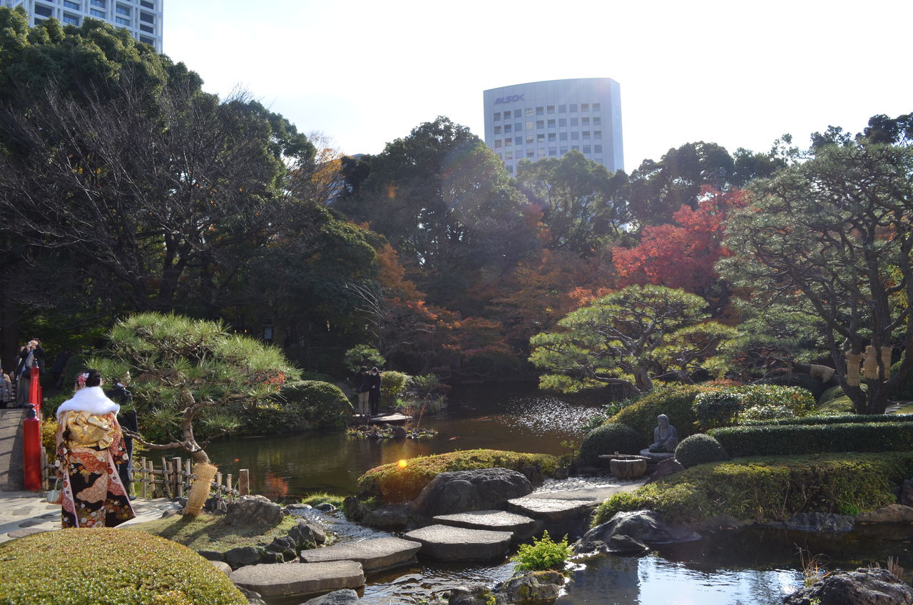 すべての花の画像 ベストホテルニューオータニ 庭園 紅葉