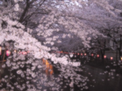 20050408中目黒