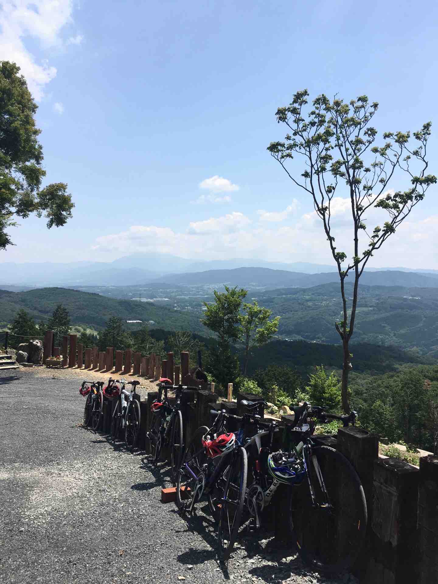 モーニングライド せいがいそう 岐阜県御嵩町のロードバイク マウンテンバイク専門店 ｔｏｍｏｓ トモス
