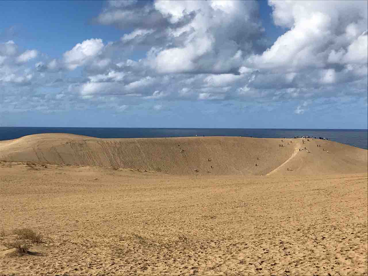 鳥取県 鳥取砂丘 趣味の為に生きて行く