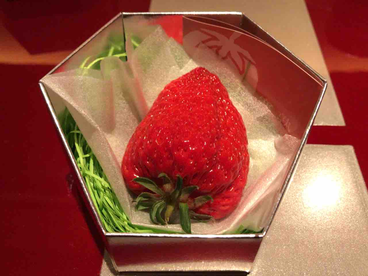 名古屋 野嵯和 趣味の為に生きて行く 名古屋 野嵯和 趣味の為に生きて行く