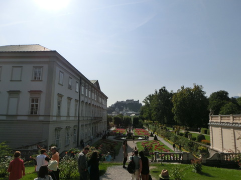 CIMG3269