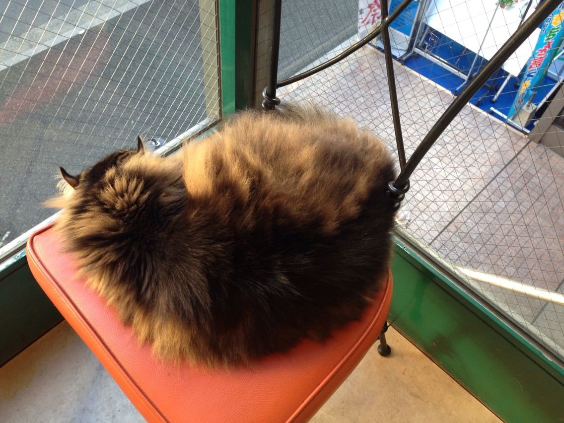 新宿御苑前 ディー カッツェ 趣味の為に生きて行く