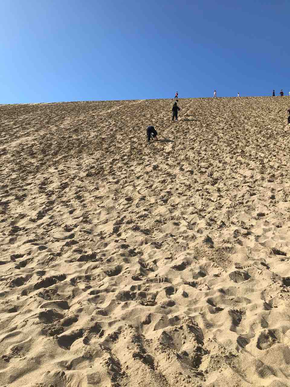 鳥取県 鳥取砂丘 趣味の為に生きて行く