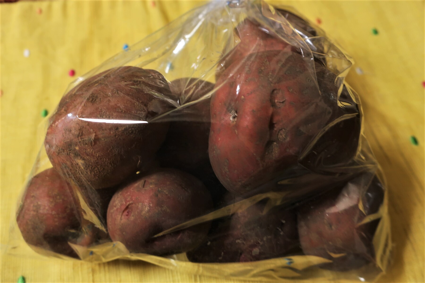 骨寺村荘園交流館 若神子亭 四半可通で行こう