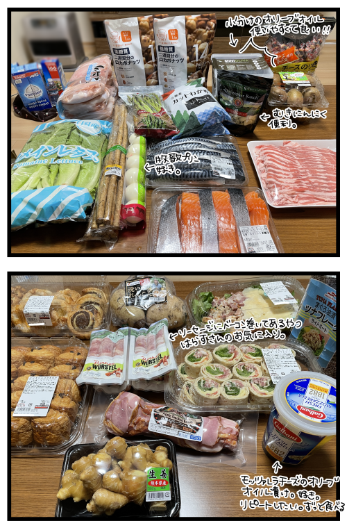 blog220227_5