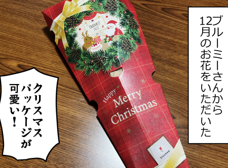 【PR】花で楽しむクリスマス気分