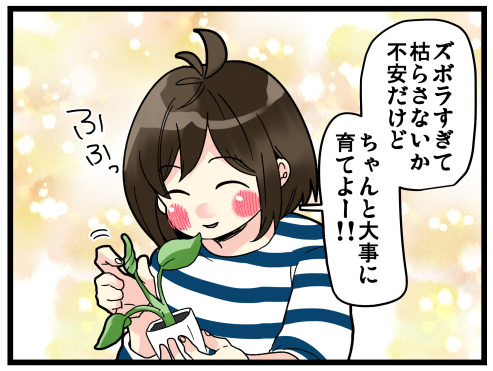 百均の植物育ててみた