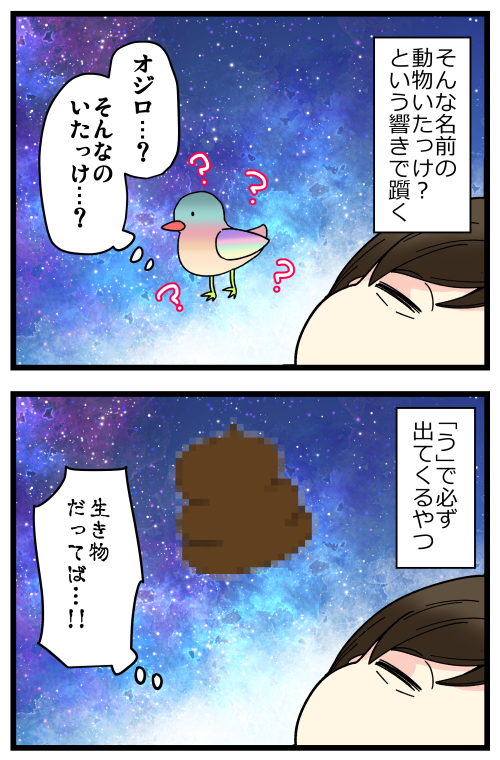 blog210310_3