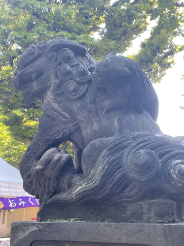 blog220510_5