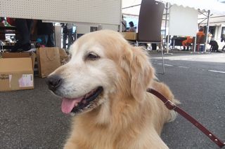 日記201410