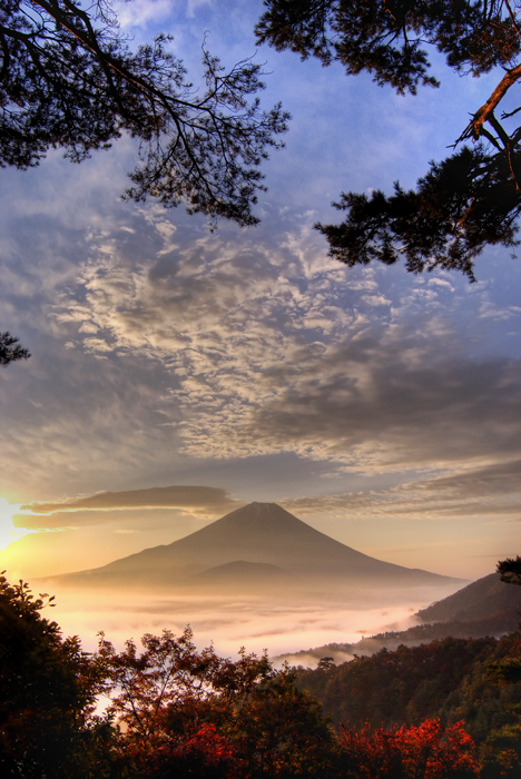 ��ǯ�����������ꤤ���ޤ���