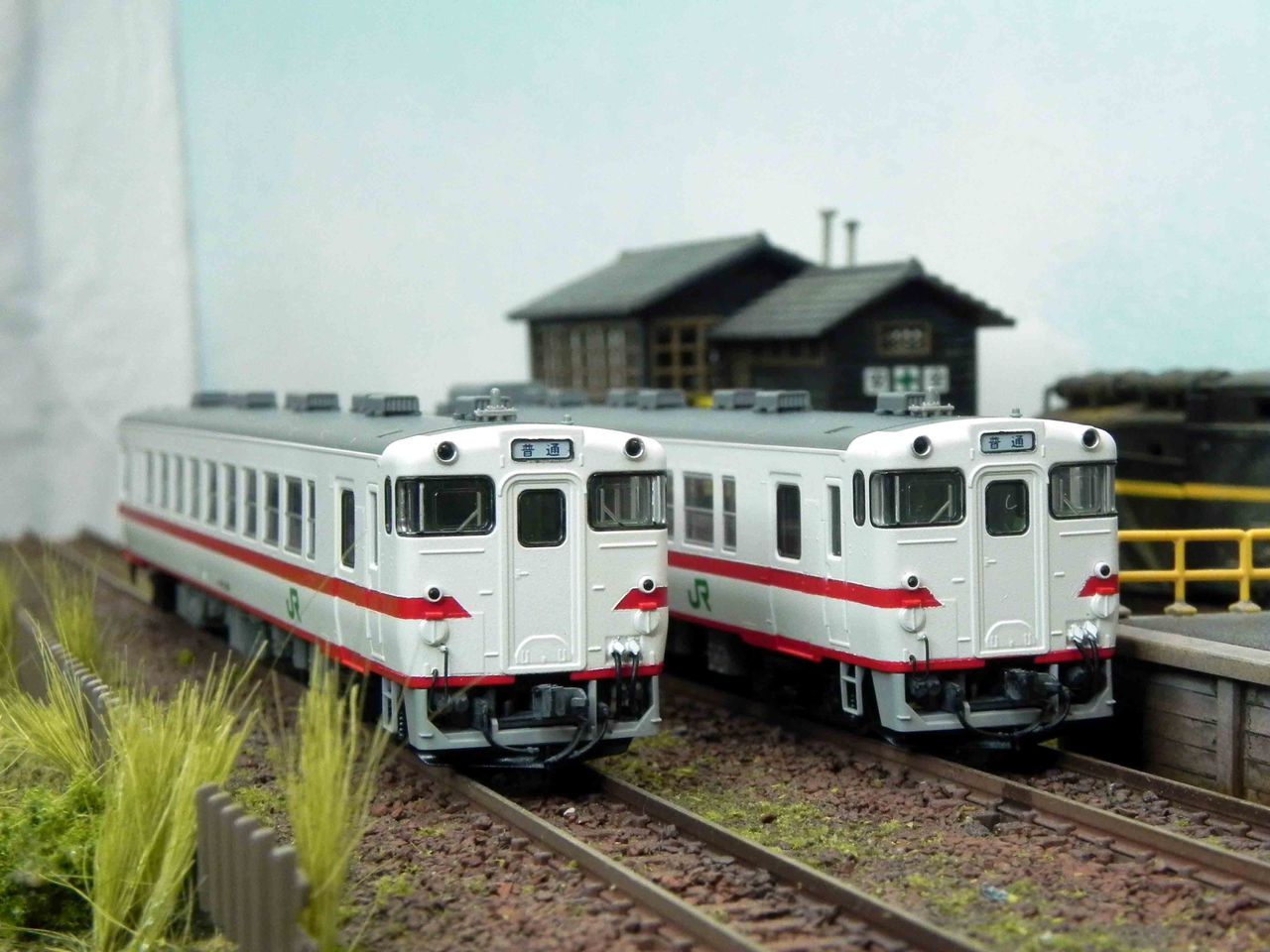 新潟の復活急行色と盛岡赤鬼 （追記あり） : 瀬戸川模型工房のブログ