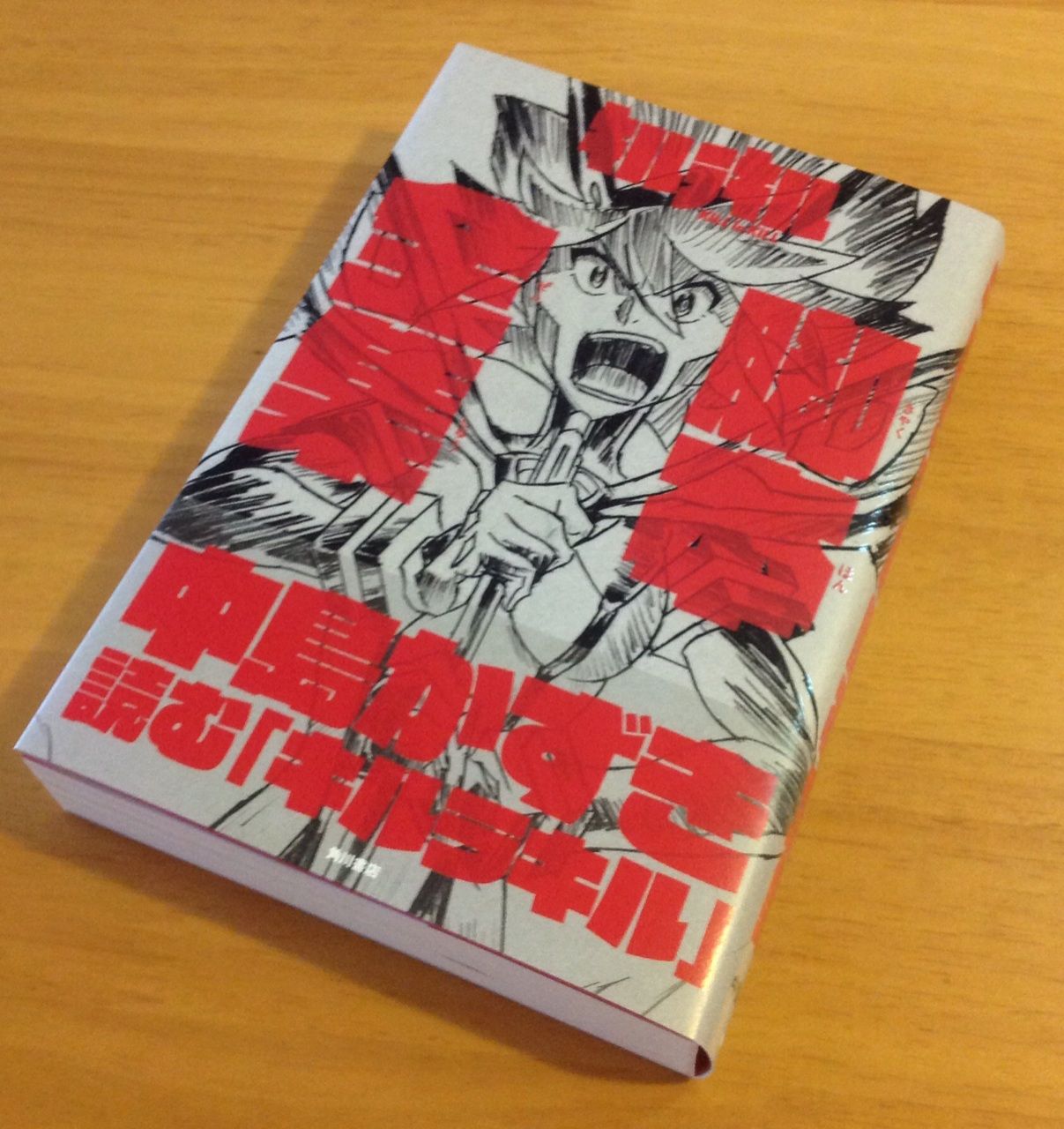 D賞オリジナルポスター：一番くじ キルラキル : 趣味は続くよ