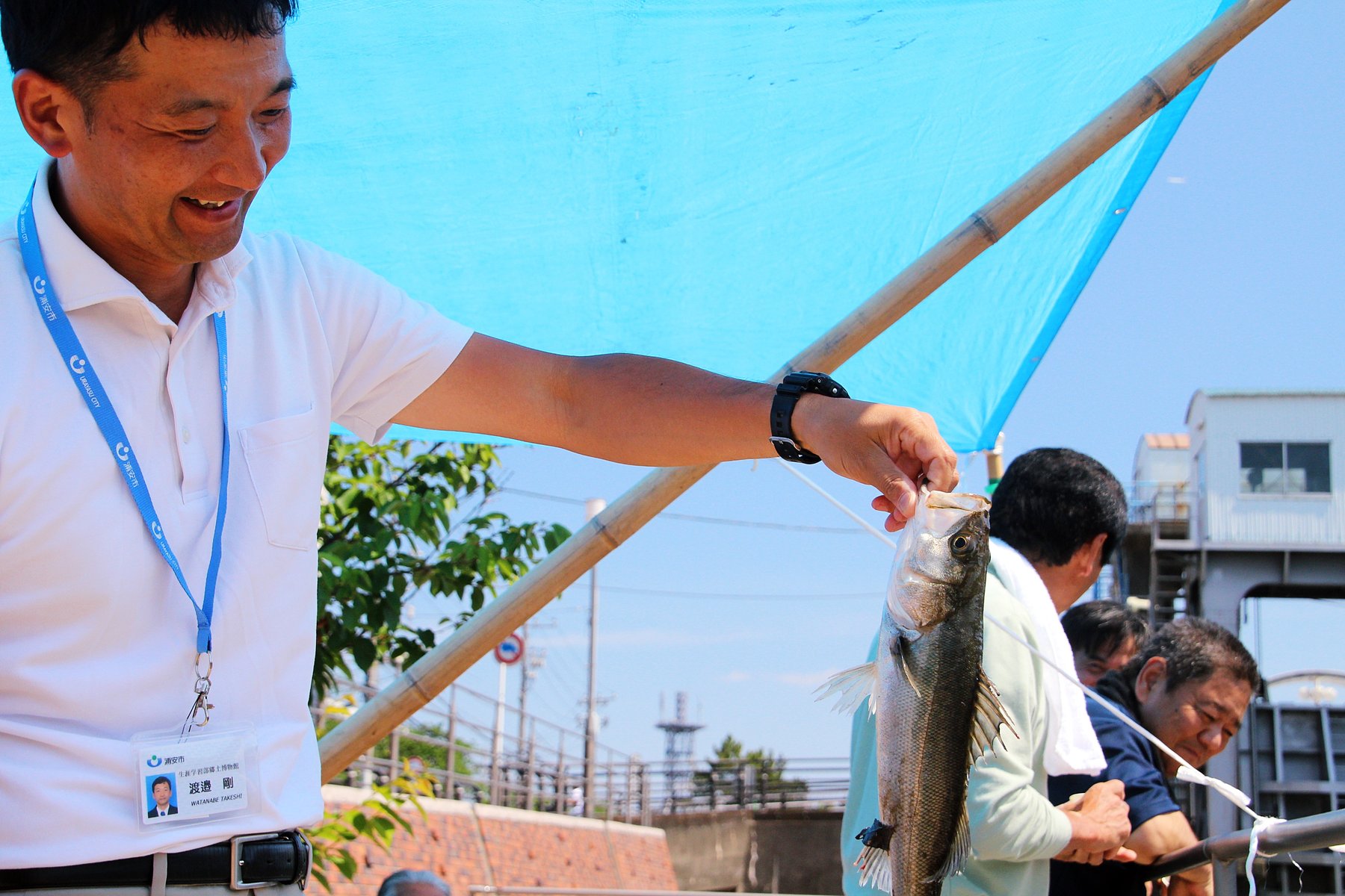 投網風景 浦安 18 6 3 旅の記憶 遊民雑記 Tomoyaraのblog