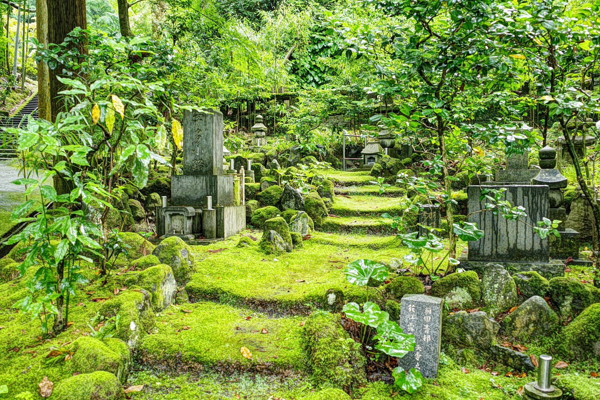万緑の候 旅の記憶 遊民雑記 Tomoyaraのblog 万緑の候 旅の記憶 遊民雑記 Tomoyaraのblog