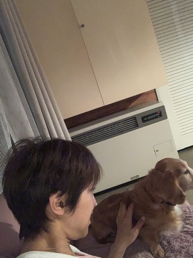 F08D65DA-6F5E-4AFC-856B-1599AC9E5533