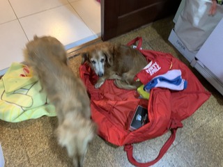 0D7458A2-99AC-423C-9162-1D6D9666FFE0