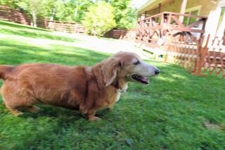 A8384918-E418-4D19-841F-874BE0DD1952