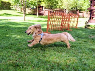 9100D347-2315-4D84-BA46-562E829F798E