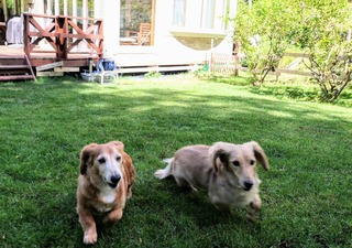 DF054060-6C94-41D8-BE77-25C232BBC62B