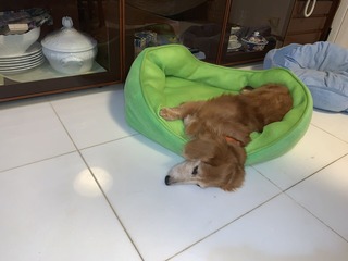 9815AC56-CAED-4A88-87F0-13D04B0AD9E5