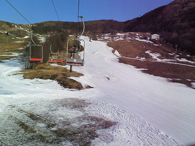 高原 ハチ 北