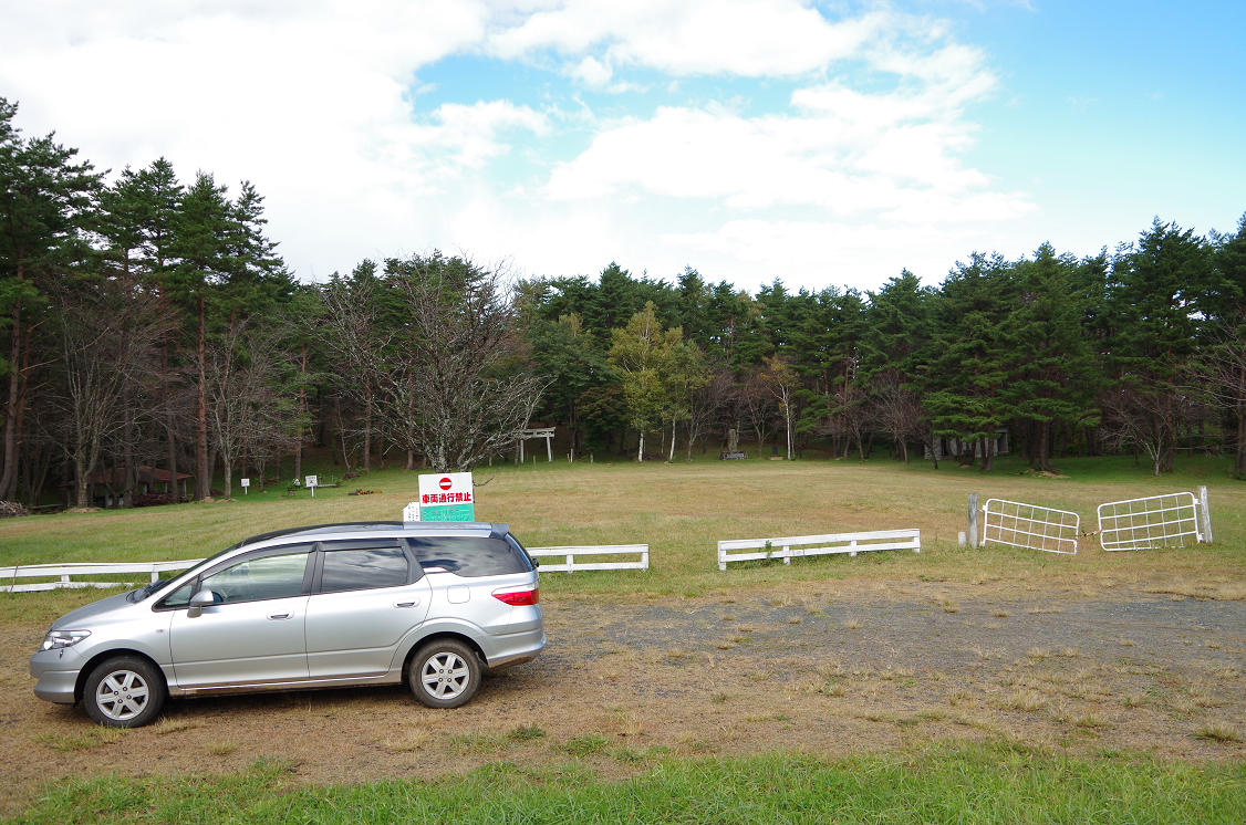 高森高原のツツジと東菊 ハイキングさ あべじゃ