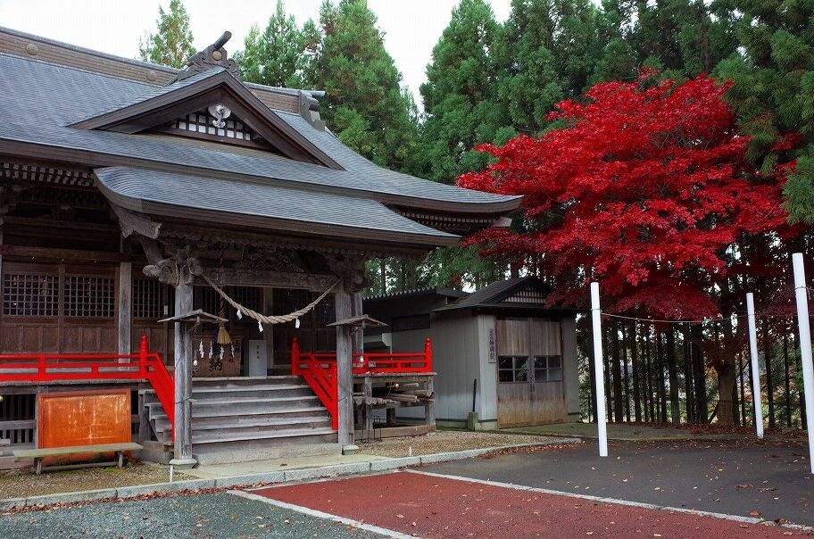 紅葉 長岡八坂神社 ハイキングさ あべじゃ