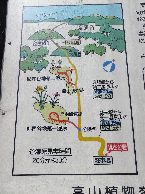 世界谷地原生花園 ハイキングさ あべじゃ