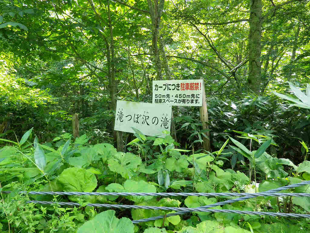 滝つぼ沢の滝 ハイキングさ あべじゃ 滝つぼ沢の滝 ハイキングさ あべじゃ