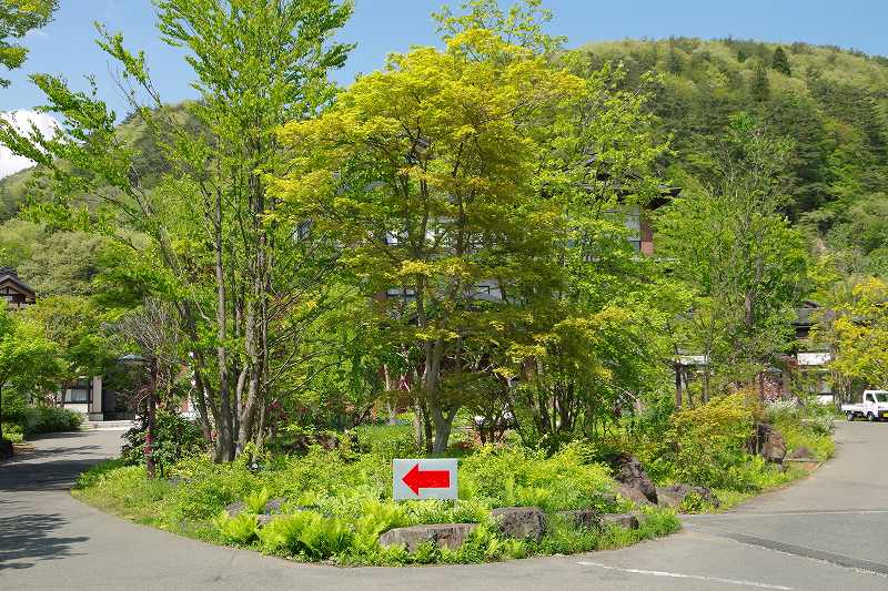 優香苑イングリッシュガーデン ハイキングさ あべじゃ