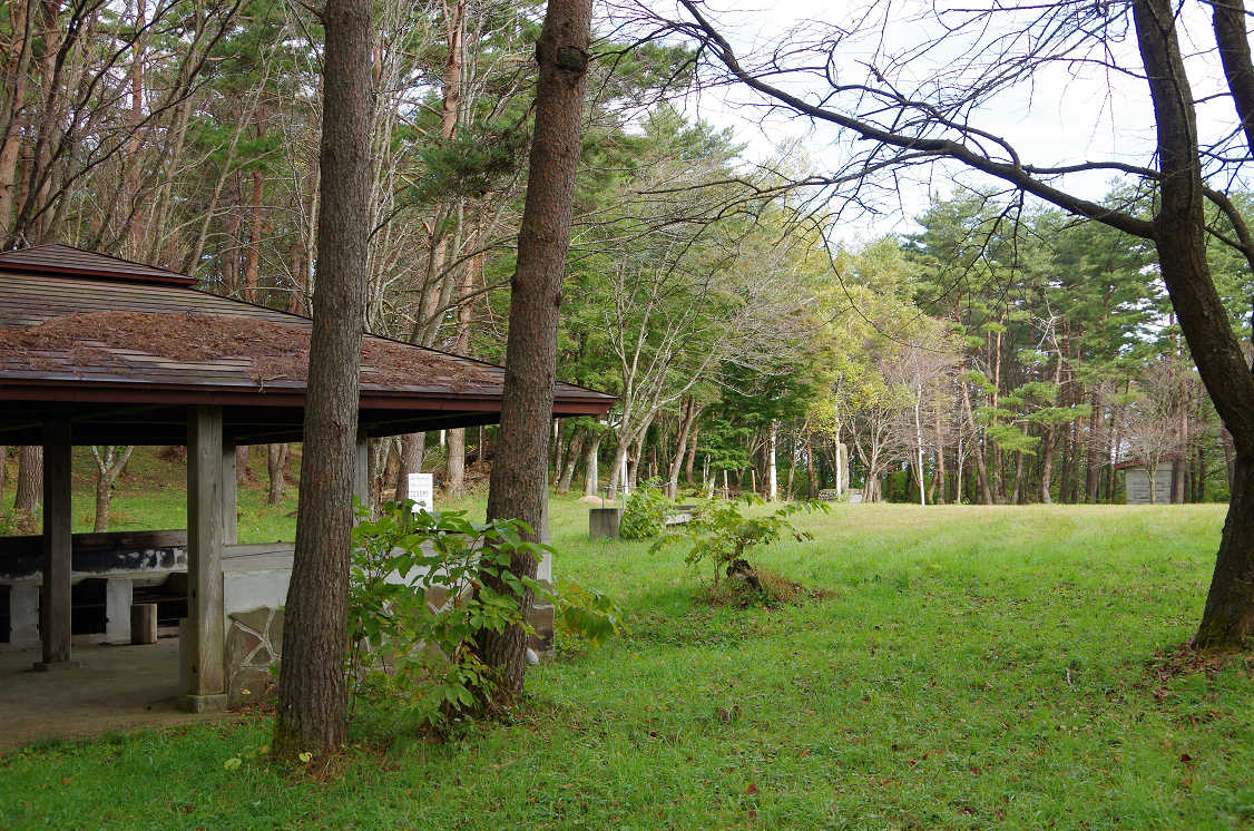 高森高原のツツジと東菊 ハイキングさ あべじゃ