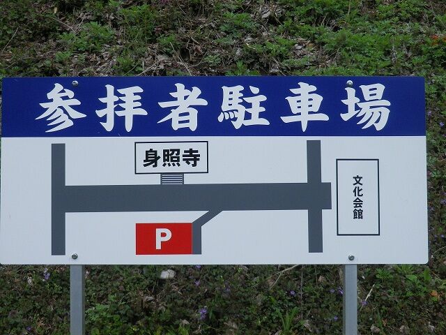 青空に映え 身照寺しだれ桜 ハイキングさ あべじゃ 青空に映え 身照寺しだれ桜 ハイキングさ あべじゃ